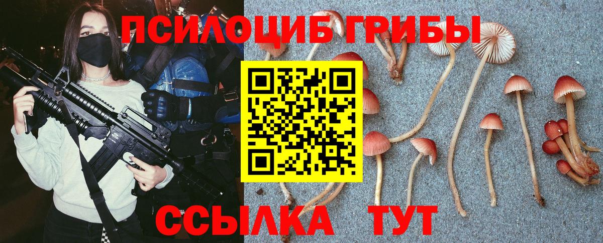 Галлюциногенные грибы Psilocybine cubensis Рязань