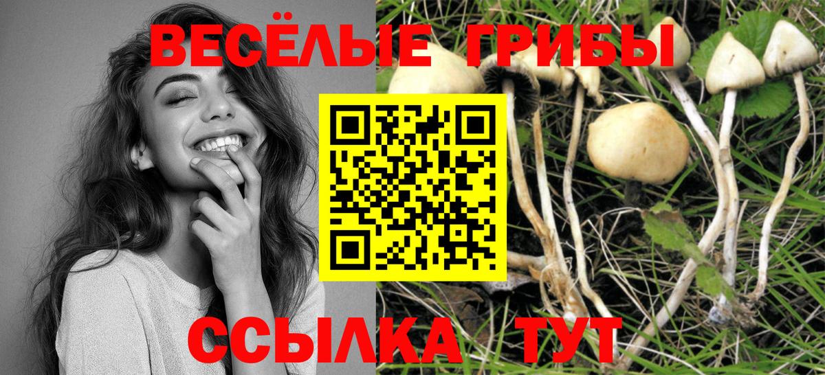 Псилоцибиновые грибы Psilocybe  где продают наркотики  Рязань  Вход с VPN 